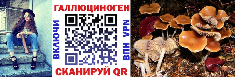 Псилоцибиновые грибы Magic Shrooms  Биробиджан 
